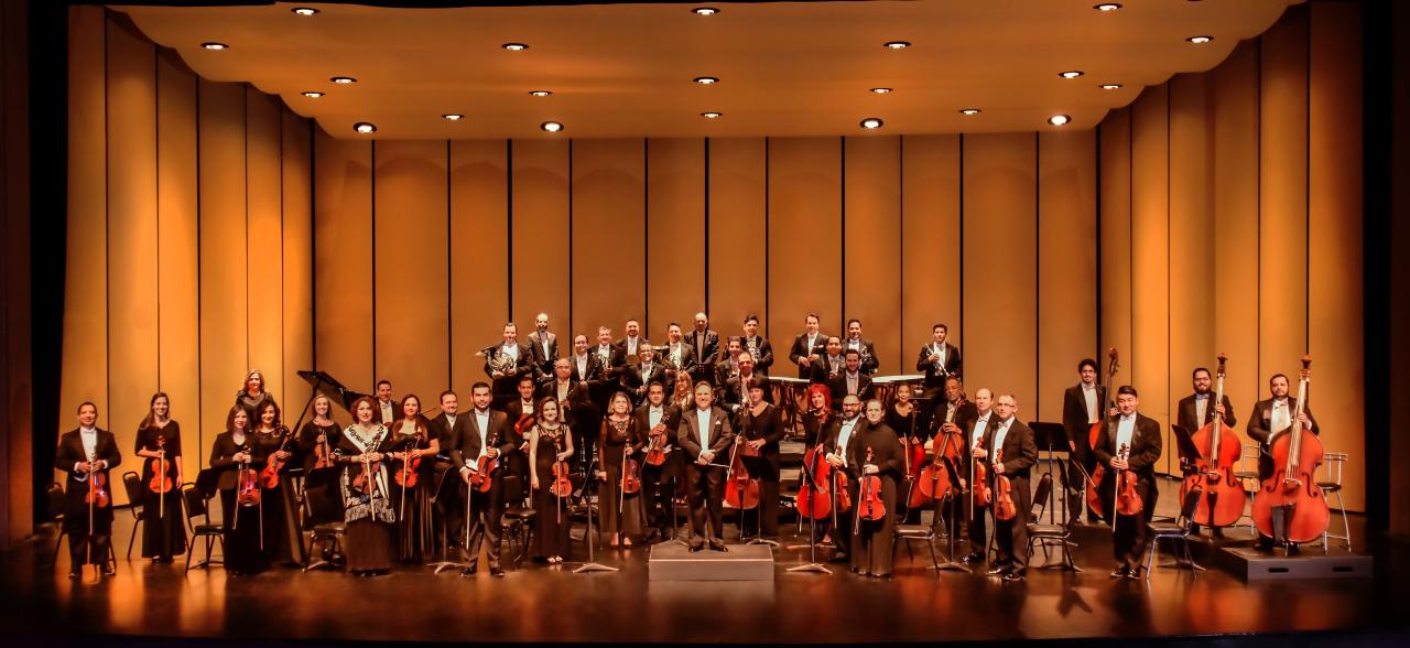 Suzuki Method Overview - full orchestra standing with their instrument