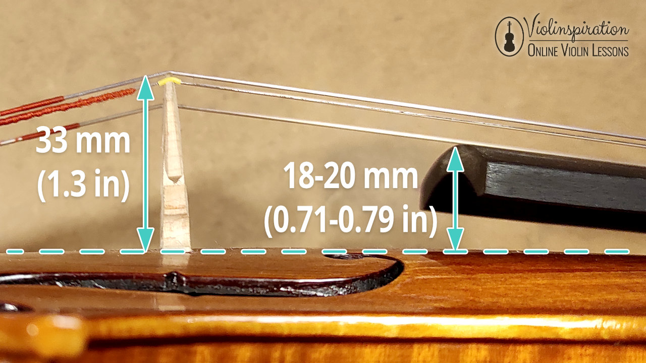 Violin Bridge Position - Bridge Height