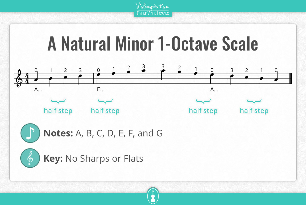 a minor scale violin - first position notes and fingering