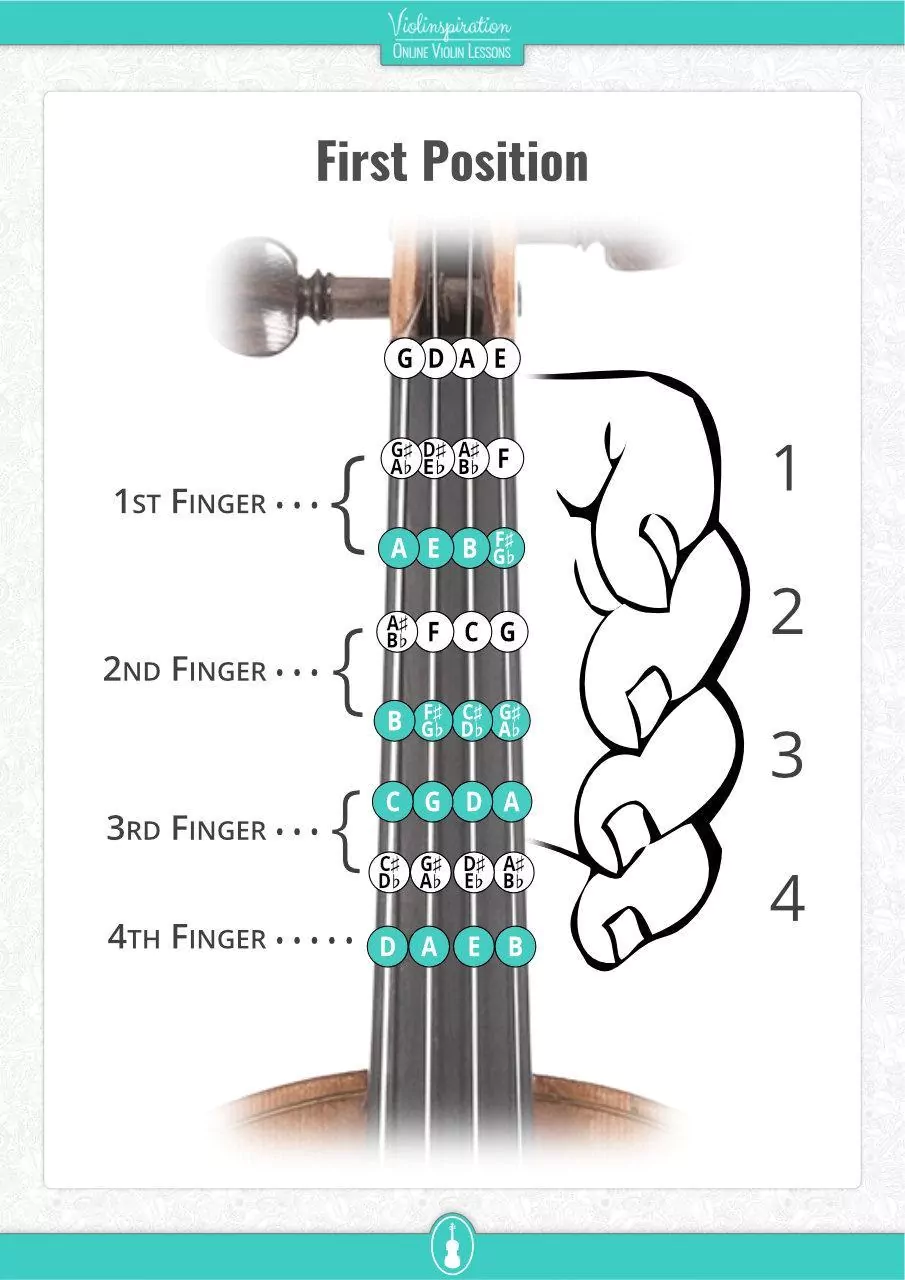 finger placement on violin - first position fingering